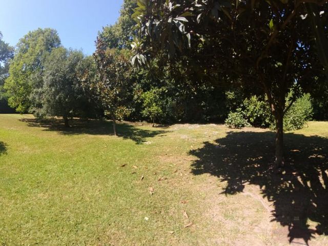 place photo 35