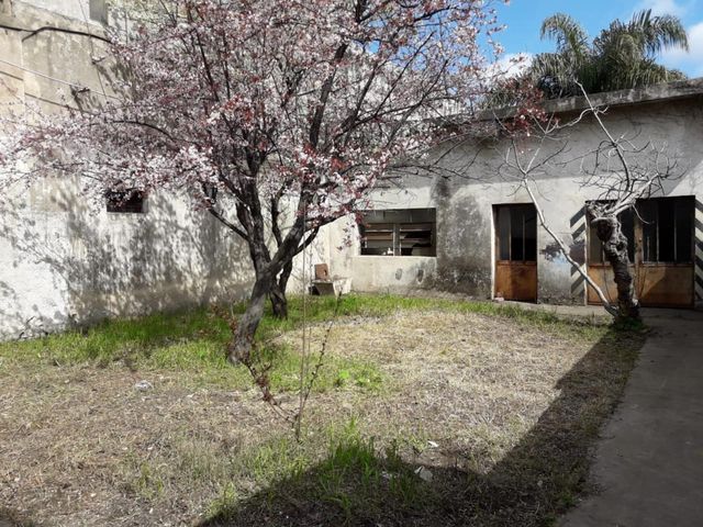 place photo 14
