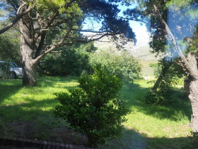 place photo 43