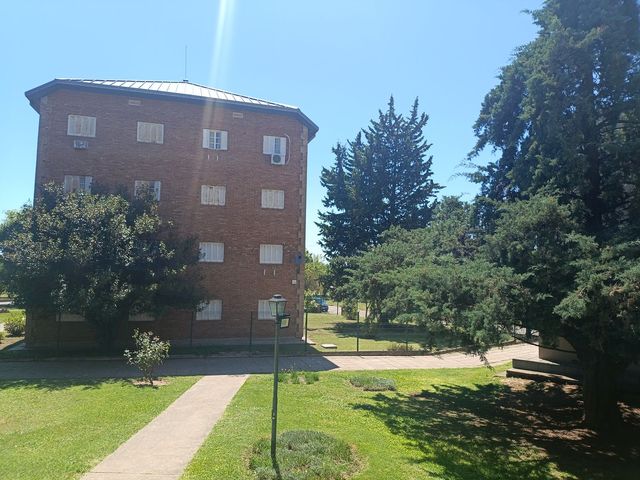 place photo 39