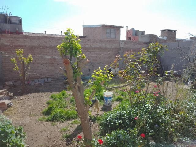 place photo 12