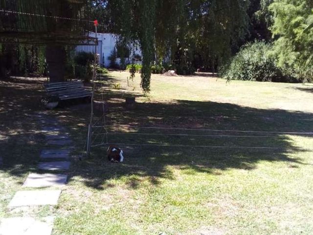 place photo 23