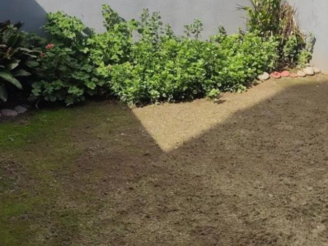 place photo 57
