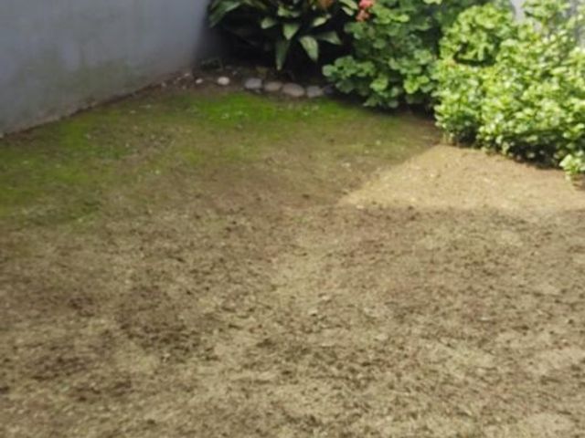 place photo 62