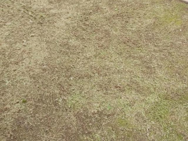 place photo 68