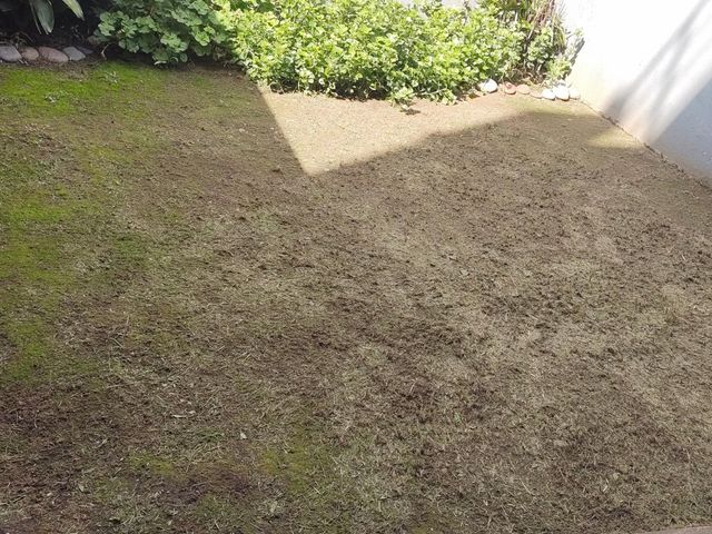 place photo 52