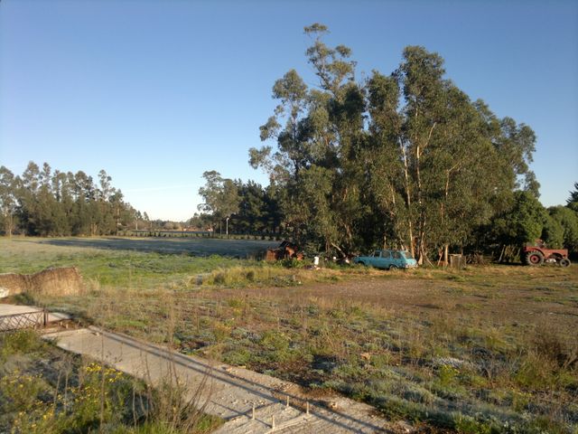 place photo 13