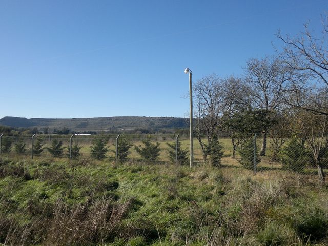 place photo 31
