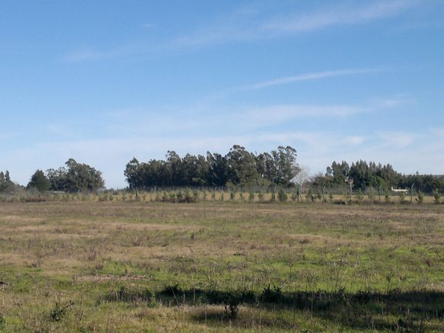 place photo 36