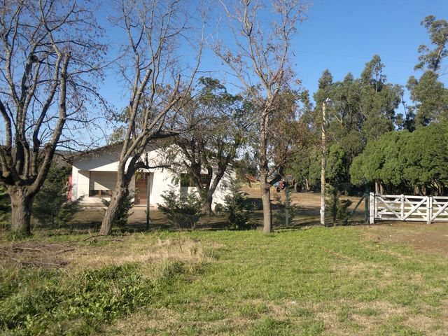 place photo 30