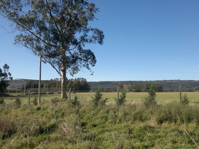 place photo 35