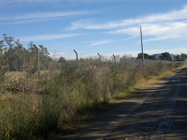 place photo 38