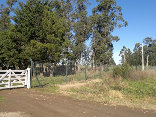 place photo 32