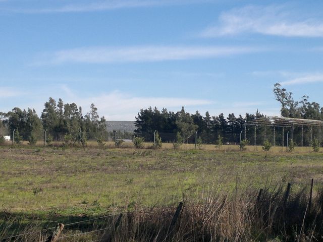 place photo 37