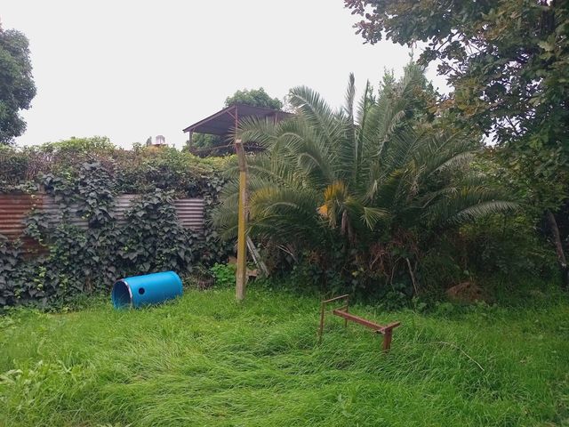 place photo 30