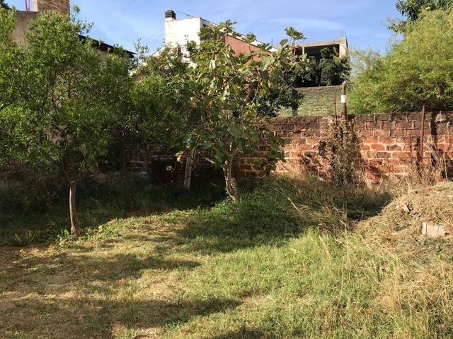 place photo 25