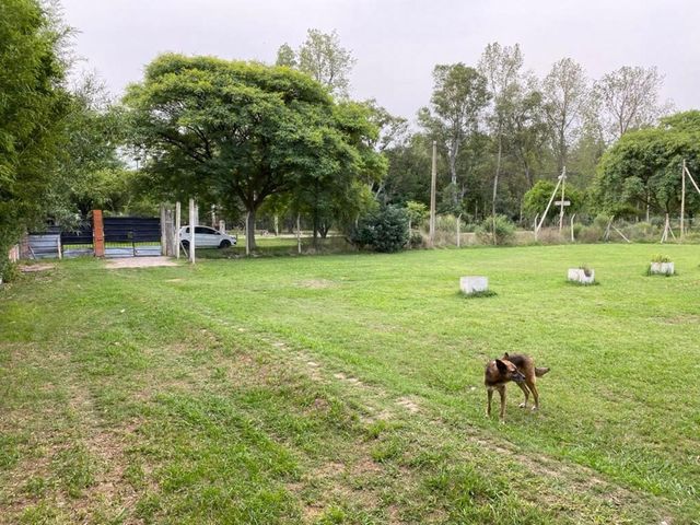 place photo 18