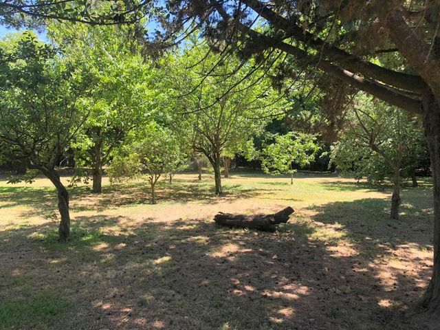 place photo 24