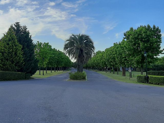place photo 36