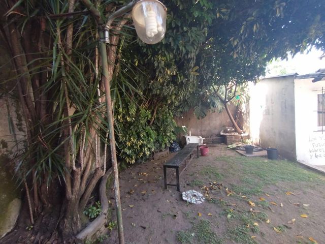 place photo 13