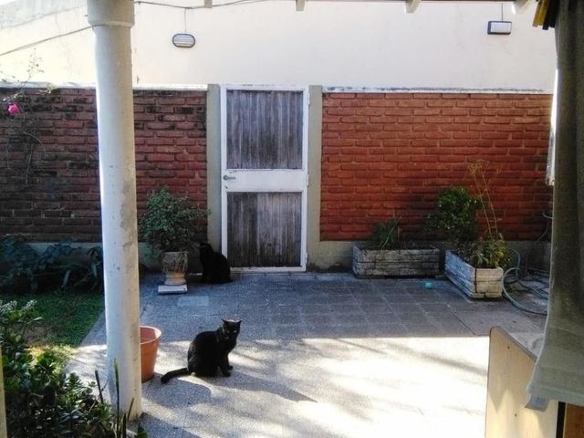 place photo 19