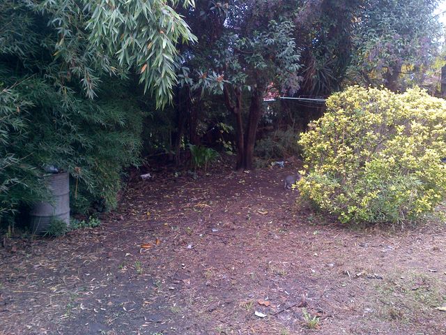 place photo 4