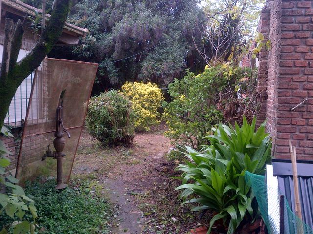 place photo 3