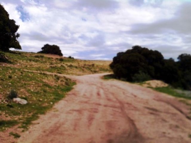 place photo 9