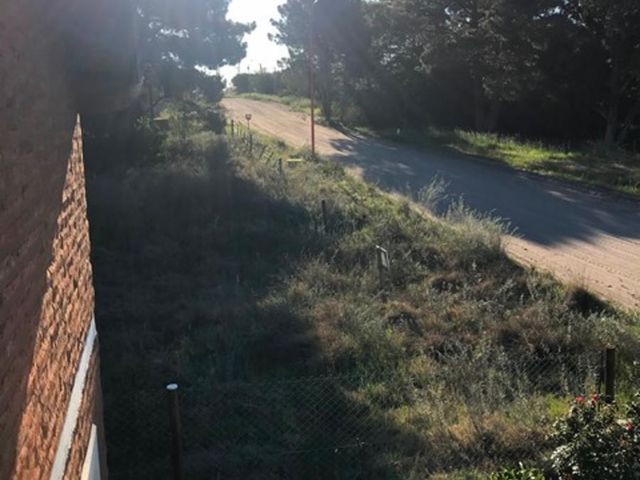 place photo 36
