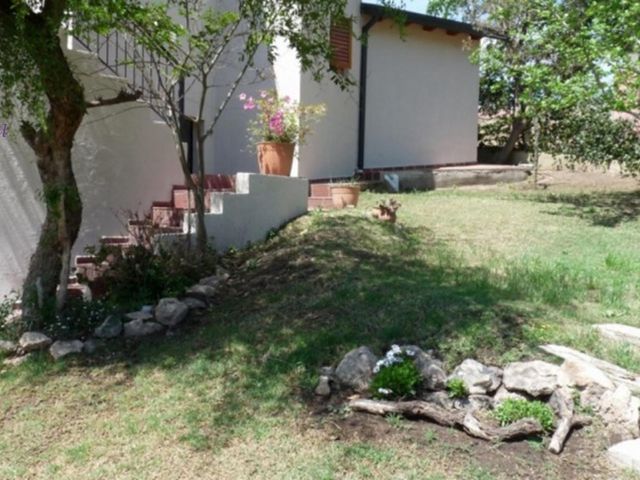 place photo 46