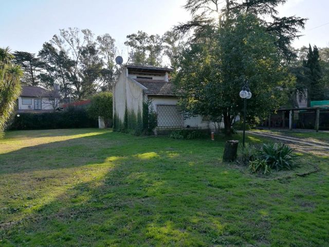 place photo 12