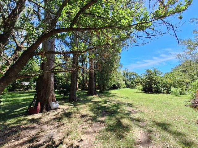 place photo 31