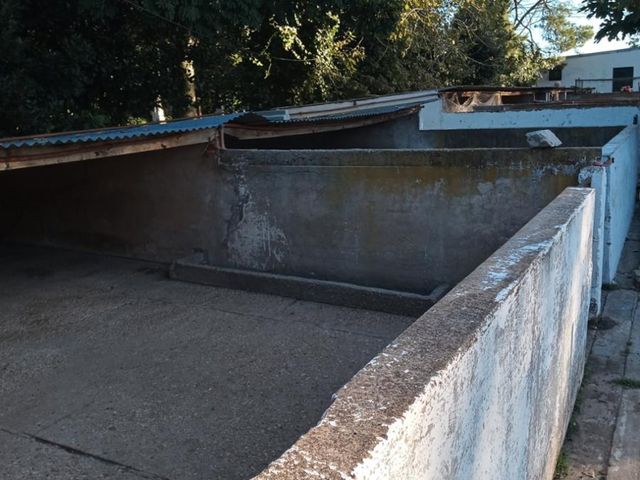 place photo 29