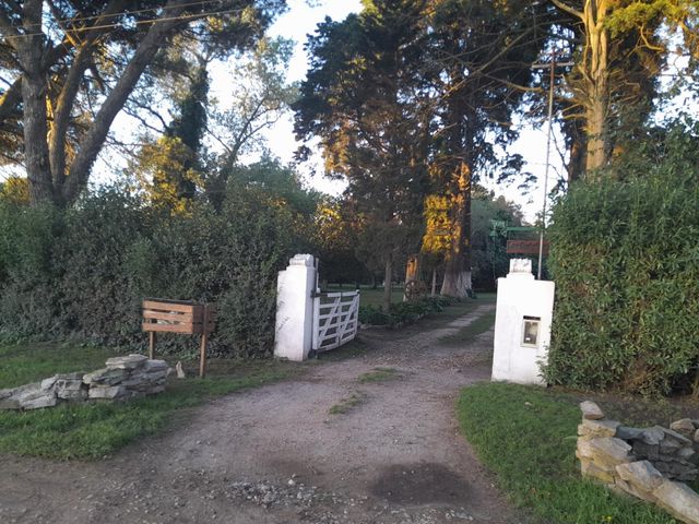 place photo 23