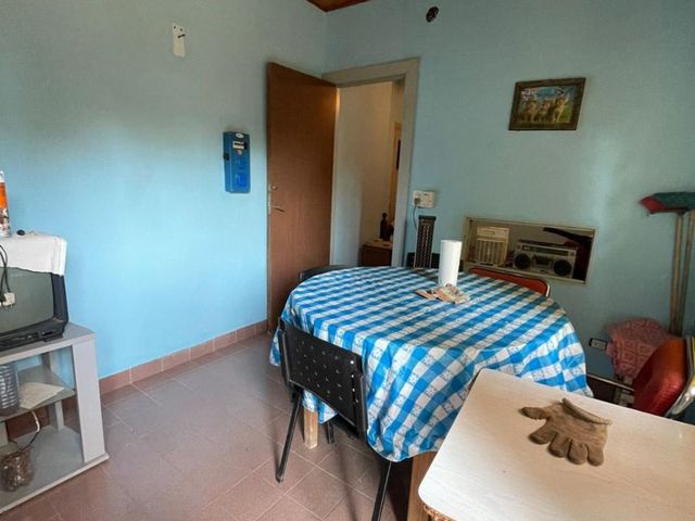 place photo 41