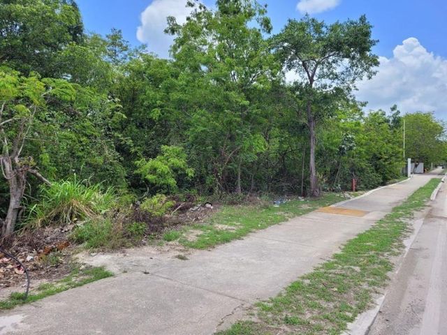 place photo 15