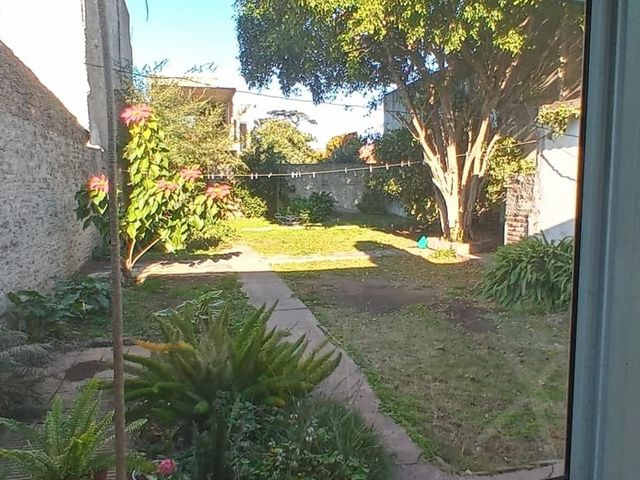 place photo 17