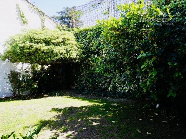 place photo 69