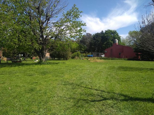 place photo 17