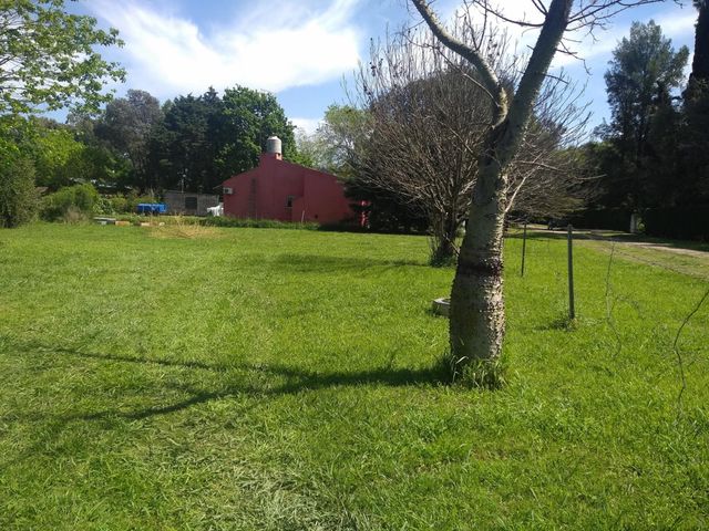 place photo 16