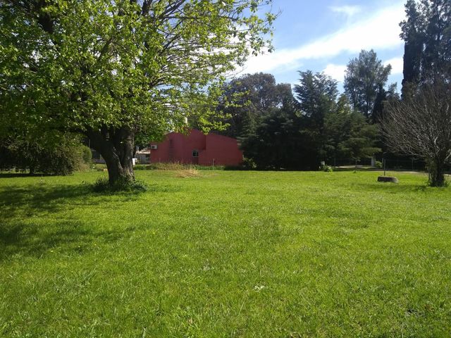 place photo 10