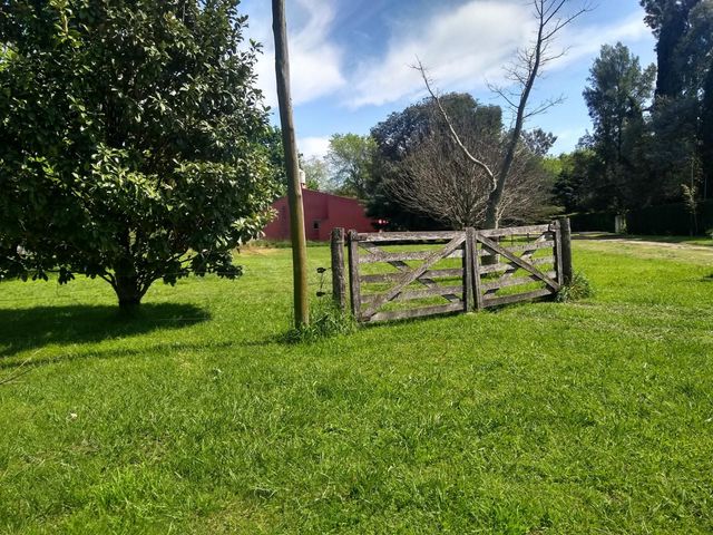place photo 15