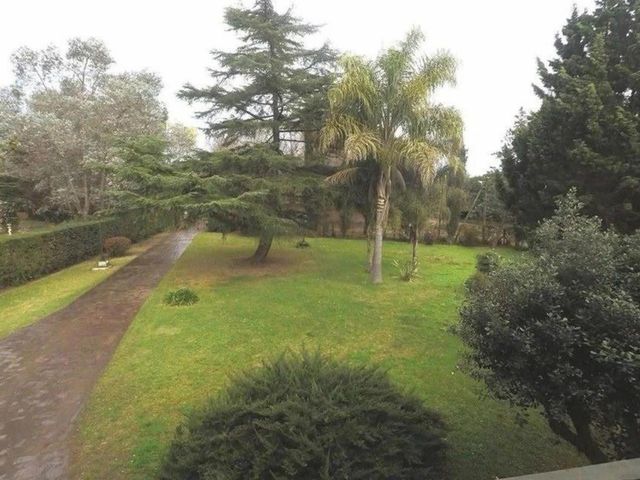 place photo 30
