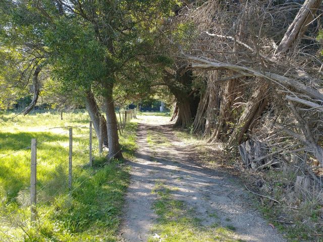 place photo 27