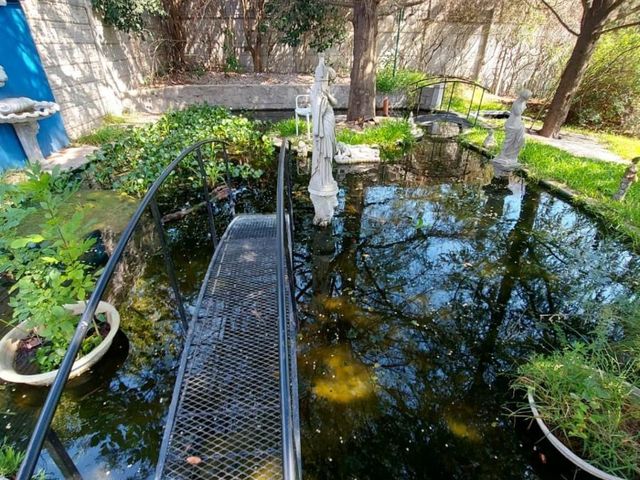 place photo 52
