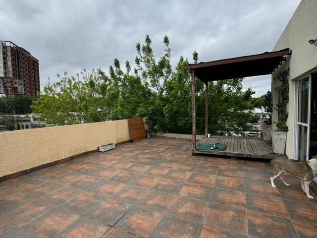 place photo 26