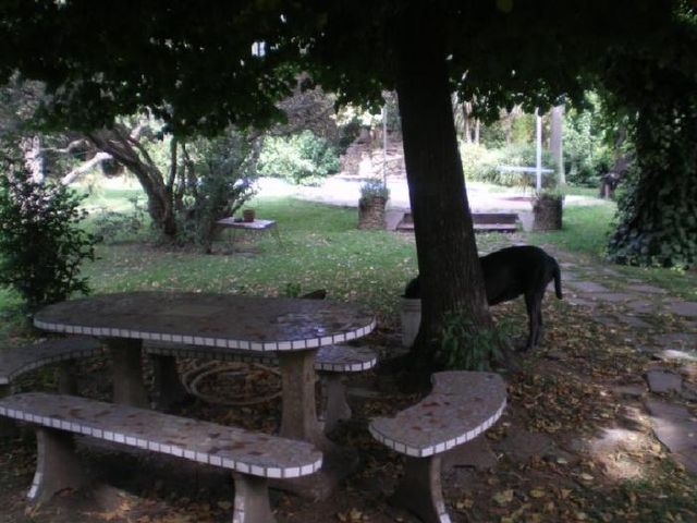 place photo 15