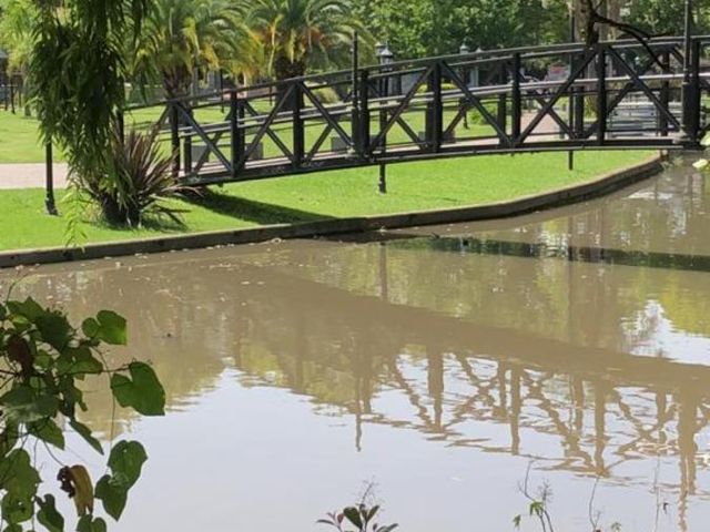 place photo 43