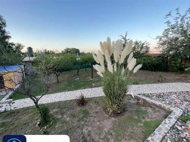 place photo 49