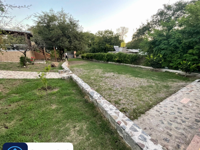 place photo 46